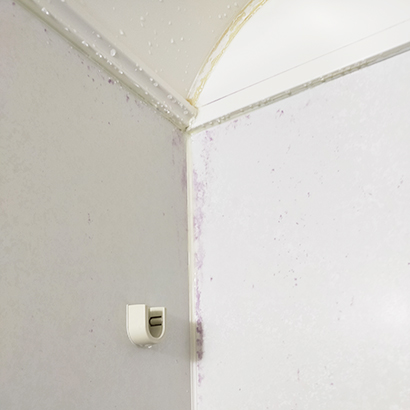 浴室壁の赤カビ