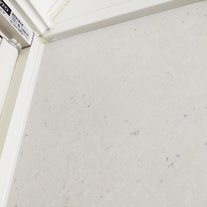 浴室壁の赤カビ